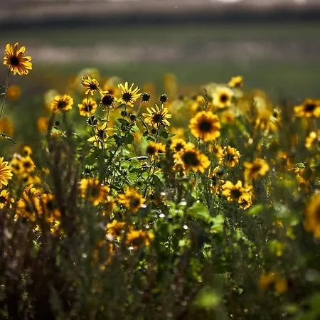 Boutique Bolt21 Maastricht Ξενοδοχείο