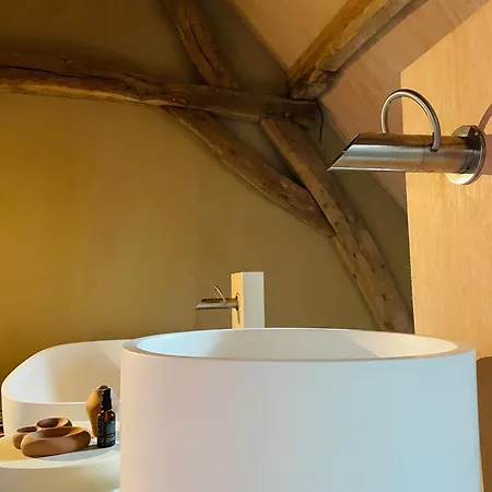 Boutique Suitehotel Bolt21 Maastricht * Berg en Terblijt