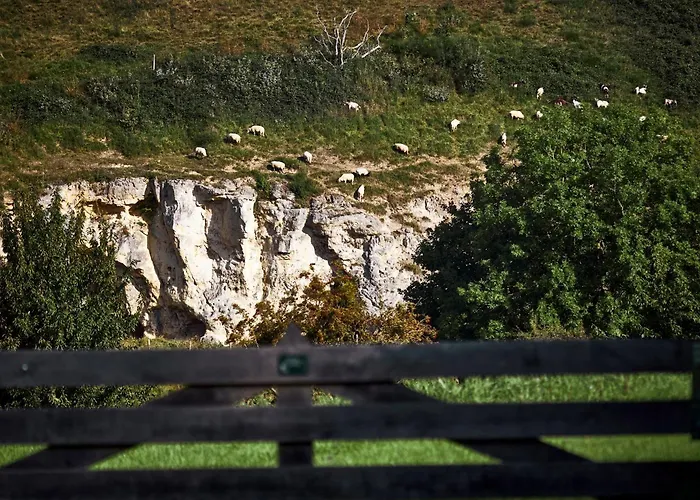 Boutique Bolt21 Maastricht Hotel *