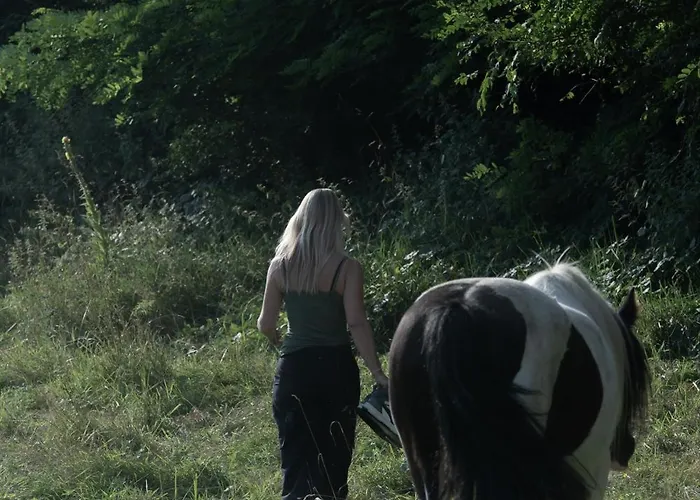 Boutique Bolt21 Maastricht Hotel Berg en Terblijt