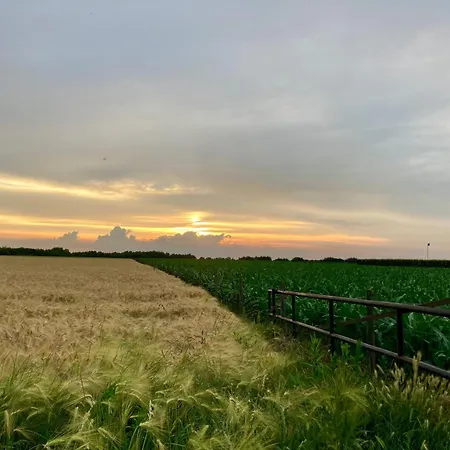 Boutique Bolt21 Maastricht Berg en Terblijt