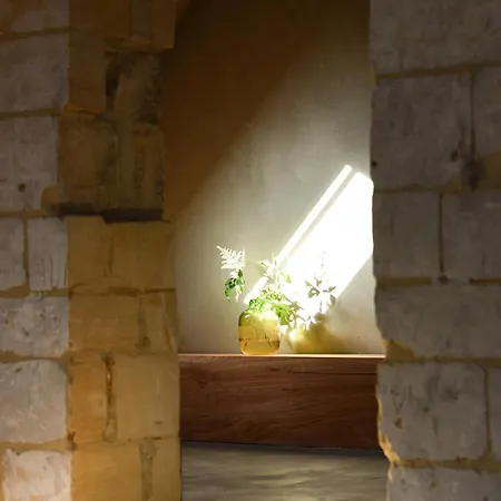 Boutique Bolt21 Maastricht Berg en Terblijt