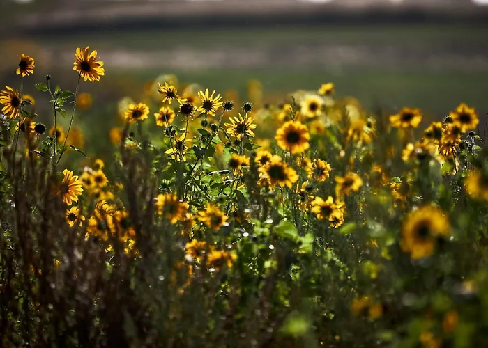 Boutique Bolt21 Maastricht Hotel